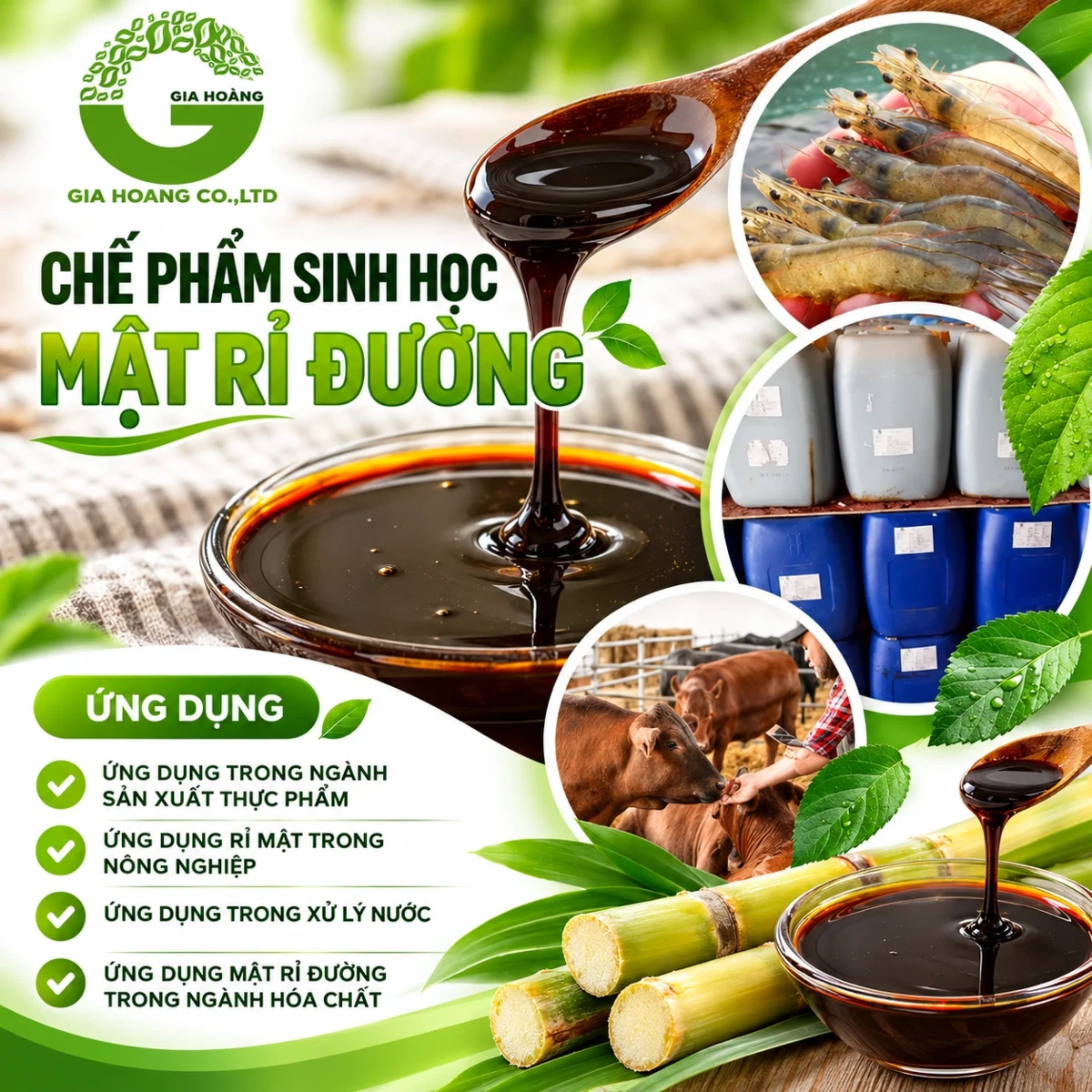 Mật rỉ đường MOLASSES Việt Nam — Ảnh 3