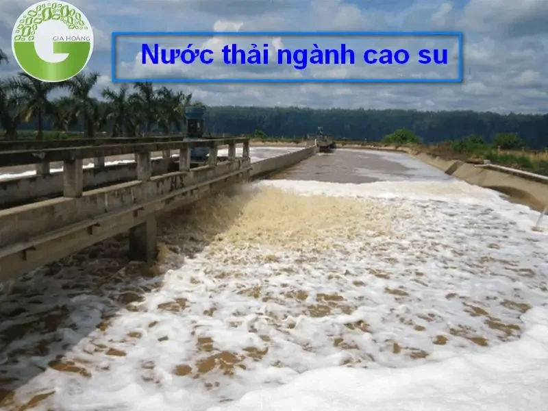 xử lý nước thải cao su xử lý nước thải cao su