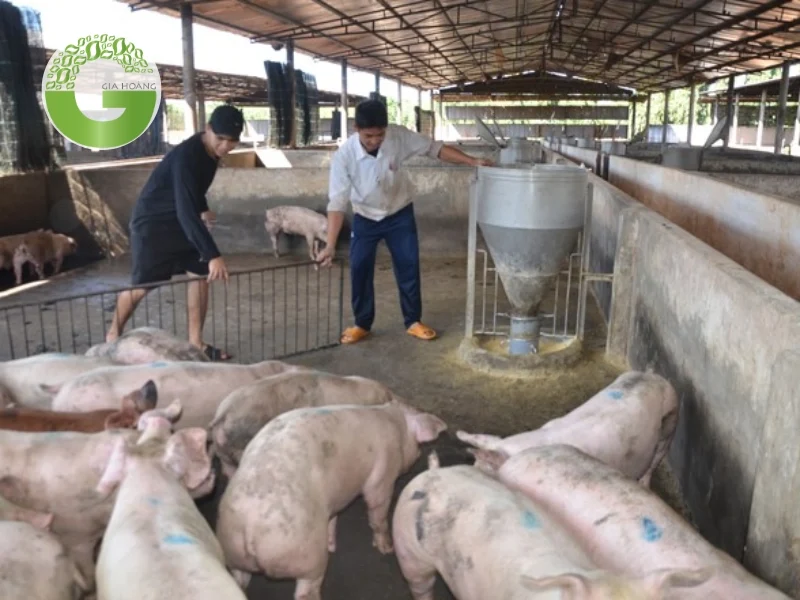 Lựa chọn giải pháp phù hợp và lợi ích kinh tế