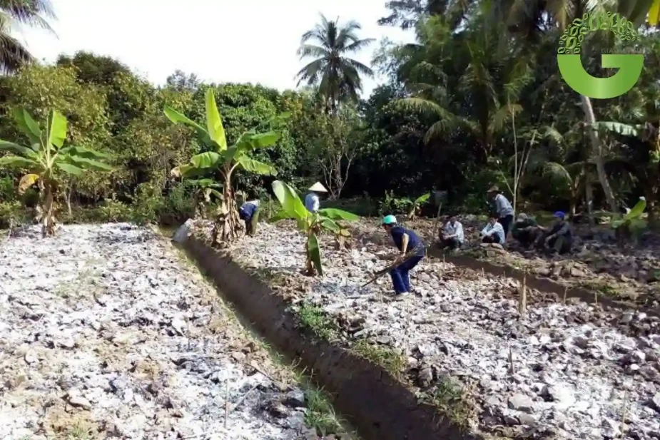 vôi bột nông nghiệp
