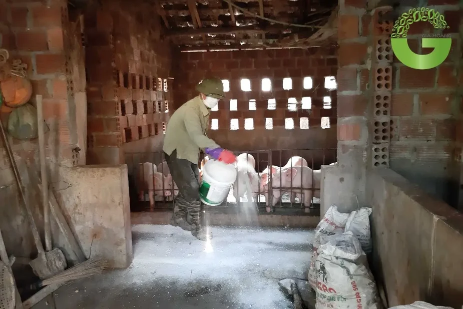 tác dụng của vôi bột trong chăn nuôi