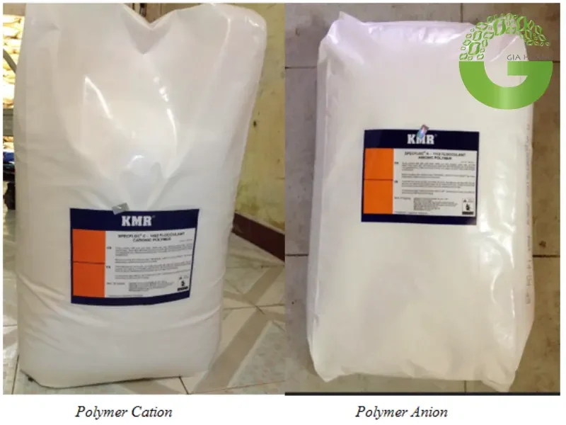 polymer cation
