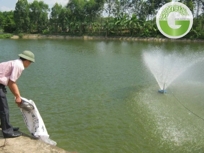 Vôi bột công nghiệp xử lý nước 