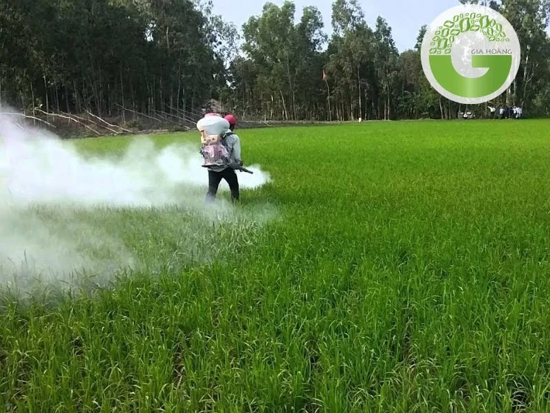 Vôi bột ứng dụng trong nông nghiệp 