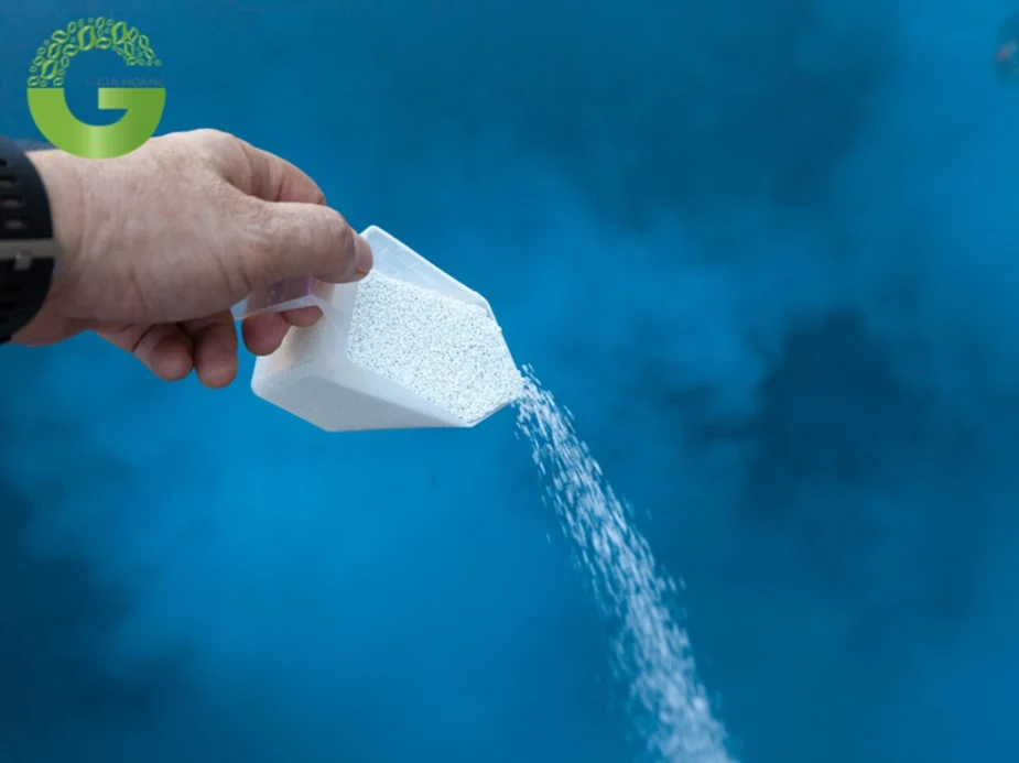 Khử trùng nước bể bơi bàng Clorin