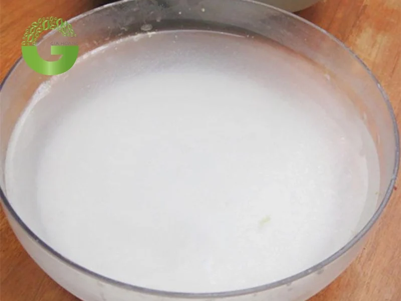 Lưu ý khi dùng nước vôi trong tưới cây hoa lan