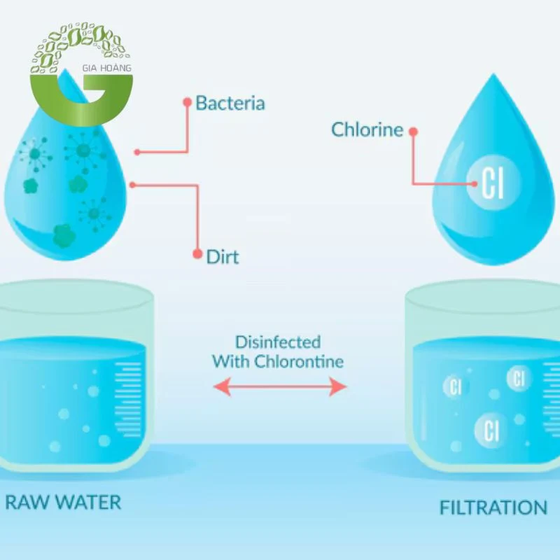 Cơ chế khử trùng nước cấp bằng clo