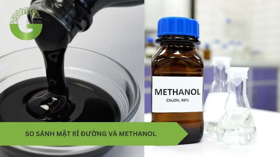 So sánh mật rỉ đường và methanol