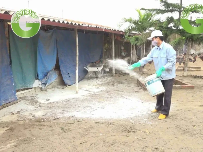 ứng dụng của Ca(OH)2 trong khử trùng chuồng trại