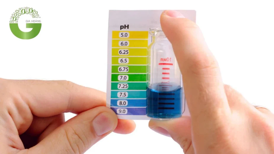 hạ pH bằng acid citric