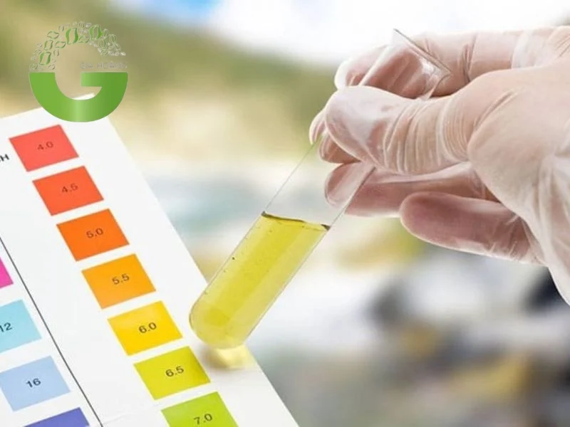 Khái niệm về độ pH của nước