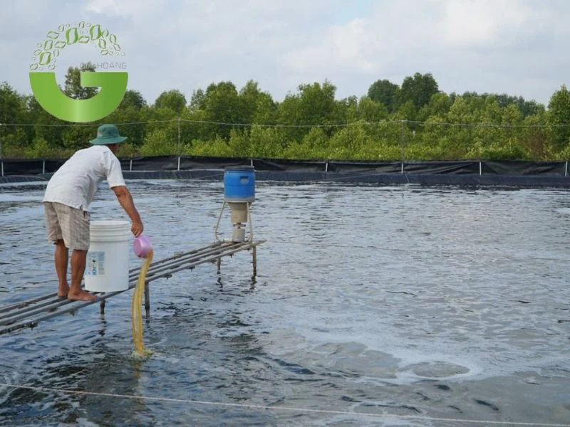 Xử lý nước ao nuôi tôm bằng phương pháp hóa lý