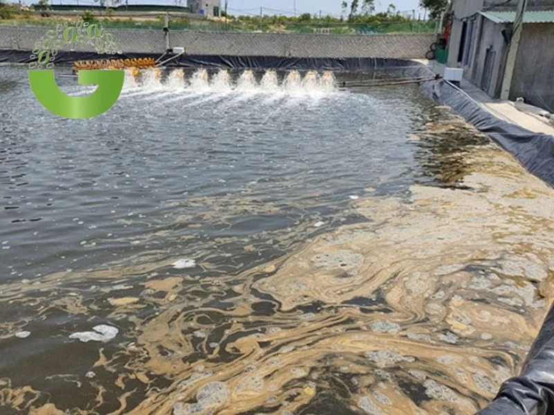 Phương pháp xử lý nước ao nuôi tôm vật lý cơ học