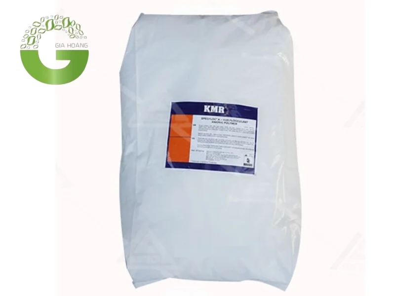 Polymer Anion