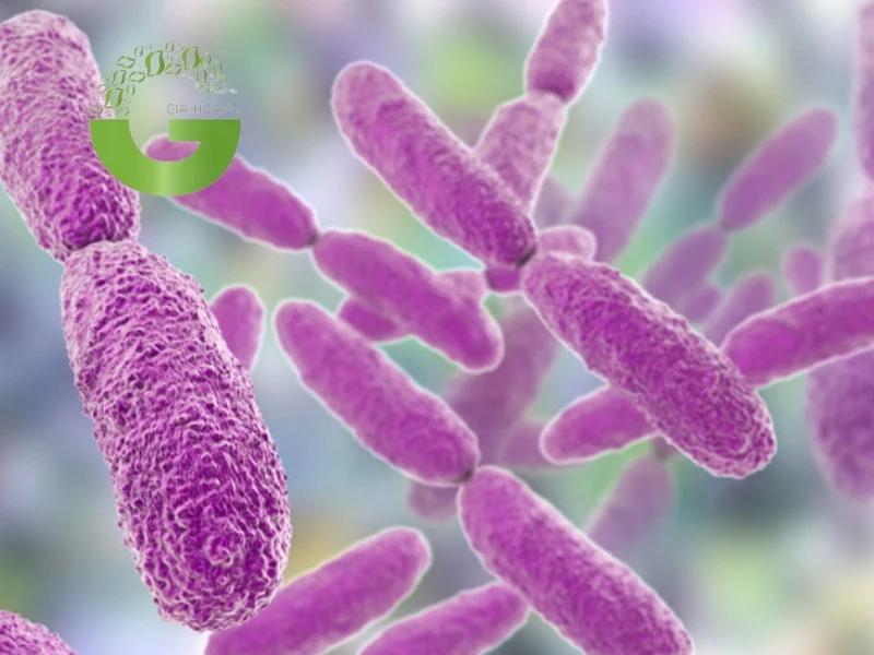 Coliform trong nước thải sinh hoạt là gì