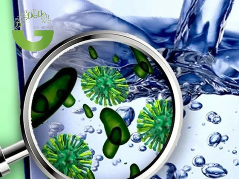 Nguồn gốc của Coliform trong nước thải