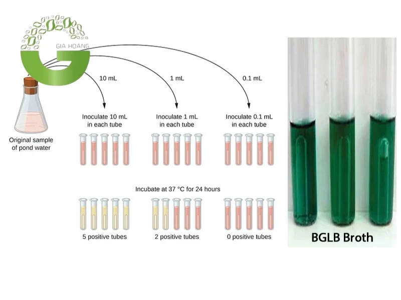 Sử dụng phương pháp MPN để xác định Coliform trong nước thải