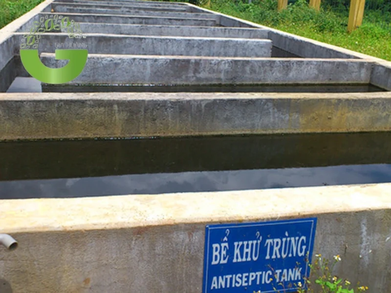 Những yếu tố ảnh hưởng đến hiểu quả khử trùng nước thải