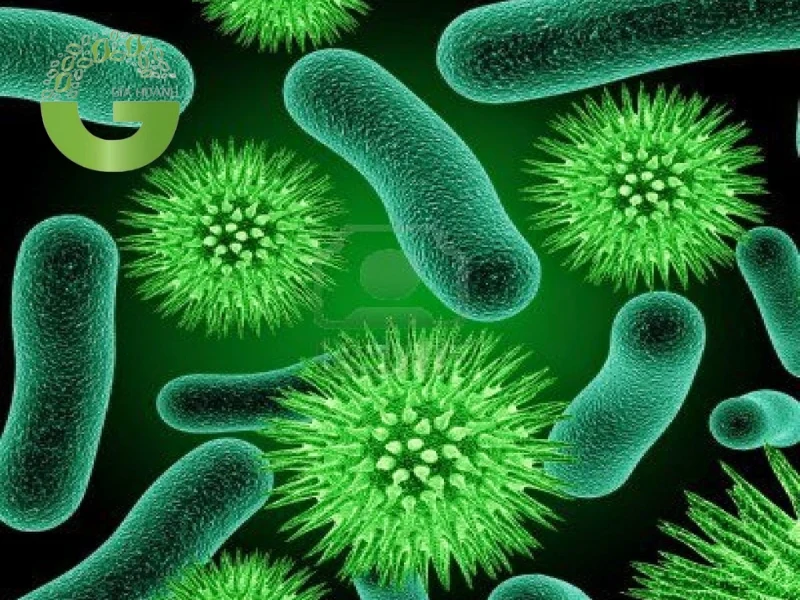 Xử lý nước thải chứa Crom bằng vi sinh vật 