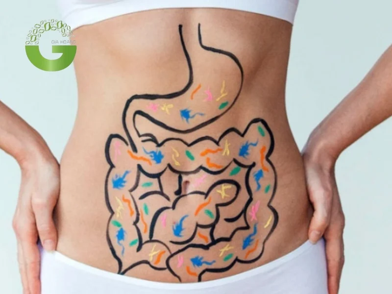 Axit panmitic còn hỗ trợ tiêu hóa cho cơ thể