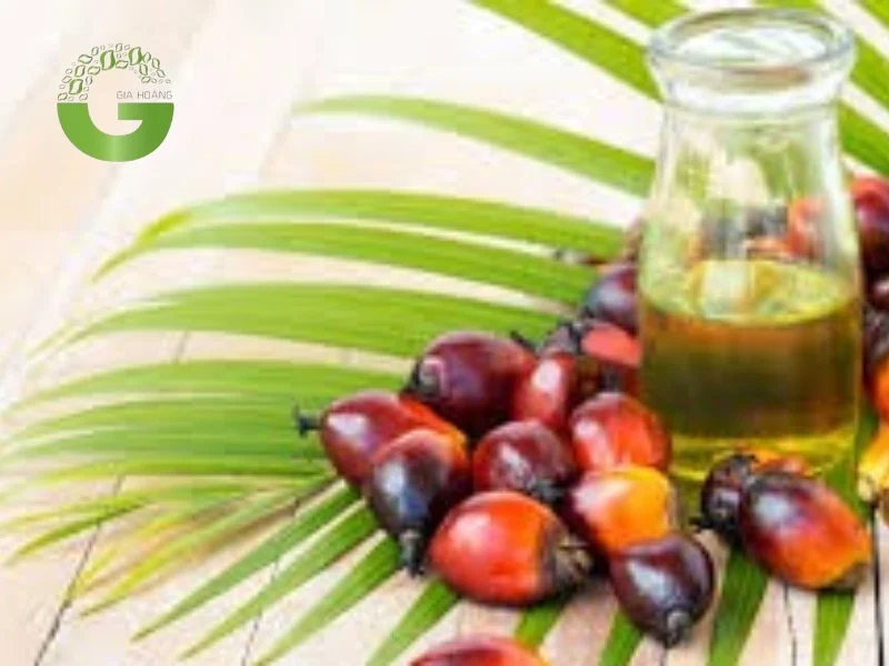 Một số lưu ý khi sử dụng axit panmitic