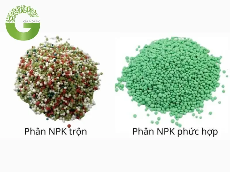 H2SO4 Trong Sản Xuất Phân Bón H2SO4 Trong Sản Xuất Phân Bón