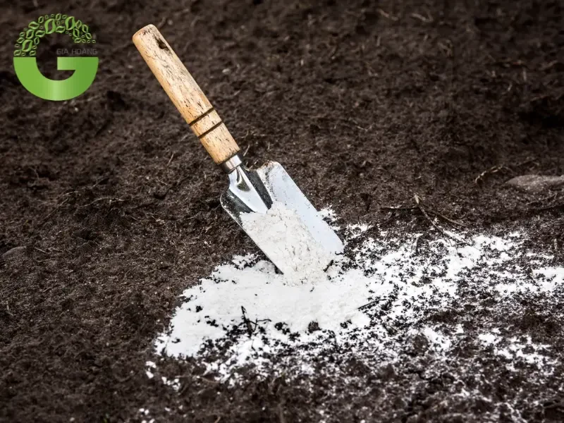 ứng dụng của caoh2 trong nông nghiệp