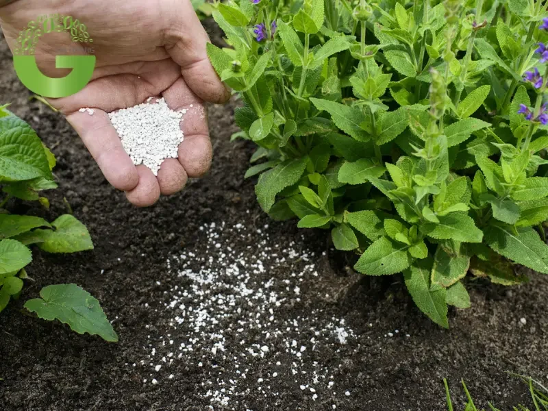 Các giải pháp khác để điều chỉnh độ pH của đất Các giải pháp khác để điều chỉnh độ pH của đất