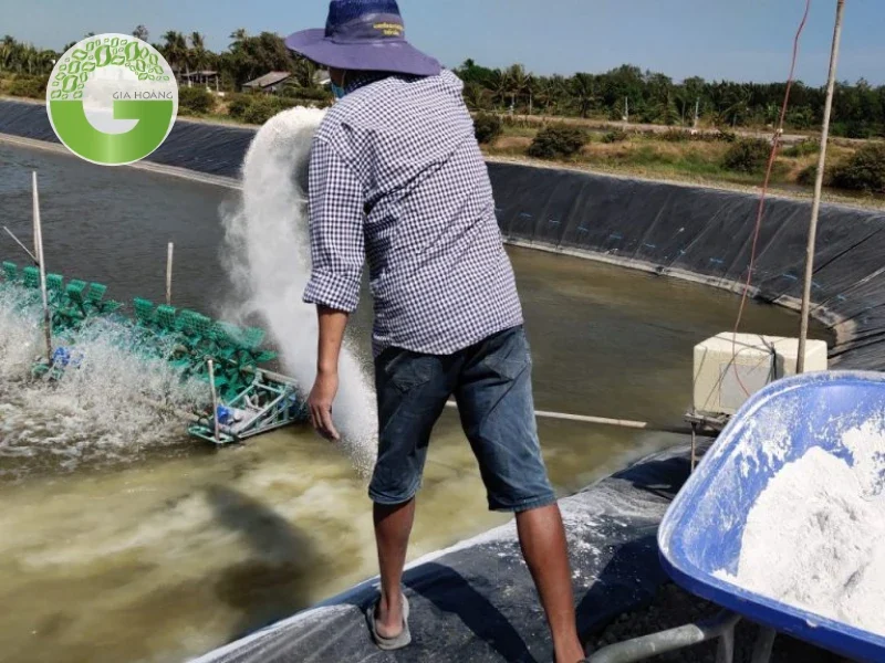 Tác dụng của dolomite trong nuôi trồng thủy sản
