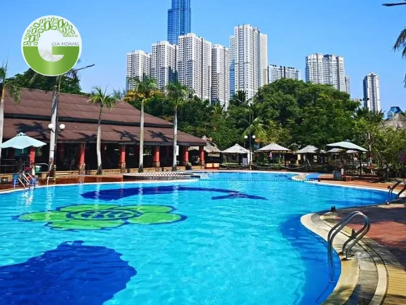 Các vấn đề thường gặp về chất lượng nước hồ bơi và dấu hiệu nhận biết