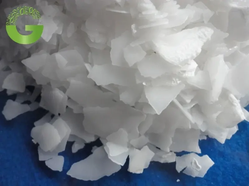 Hoá Chất Gia Hoàng - Nhà cung cấp xút đa dạng và chất lượng