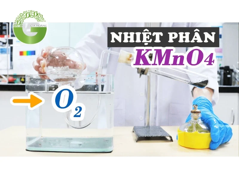 Trong phòng thí nghiệm
