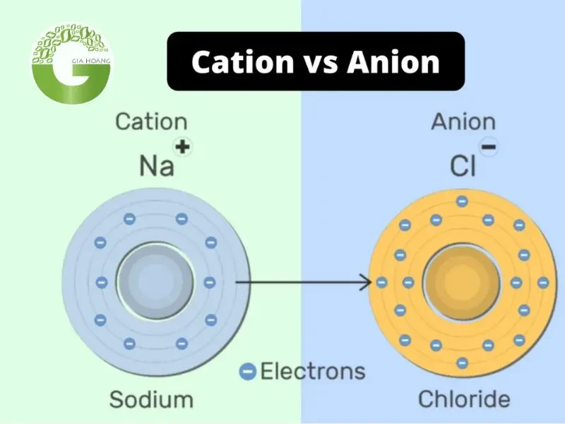 cation và anion cation và anion