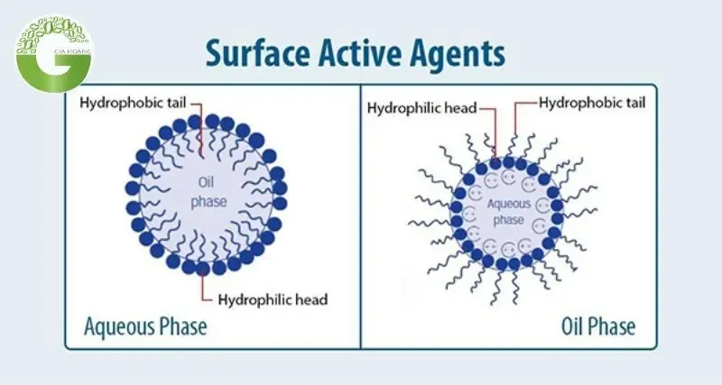 Chất Hoạt Động Bề Mặt Anion