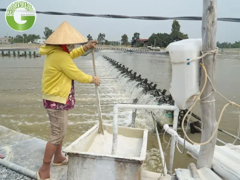 vôi tôi được sử dụng trong nuôi trồng thủy sản vôi tôi được sử dụng trong nuôi trồng thủy sản