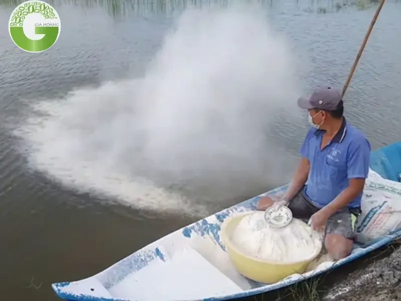 Hướng dẫn sử dụng vôi tôi hiệu quả trong nuôi trồng thủy sản Hướng dẫn sử dụng vôi tôi hiệu quả trong nuôi trồng thủy sản