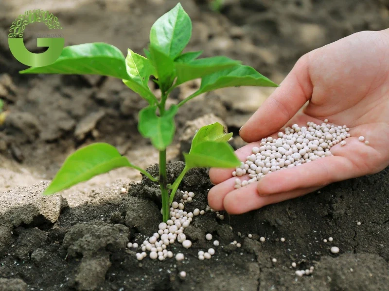 Ứng dụng chính của xút vảy (NaOH) trong xử lý đất