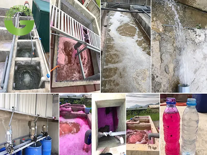 Trách nhiệm và nghĩa vụ của doanh nghiệp