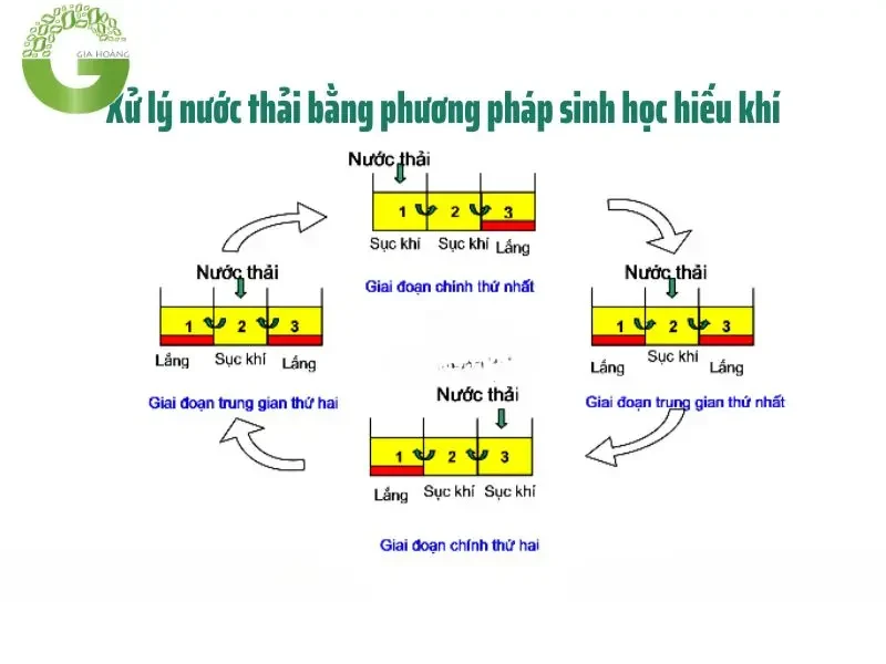 Xử lý sinh học nước thải dệt nhuộm