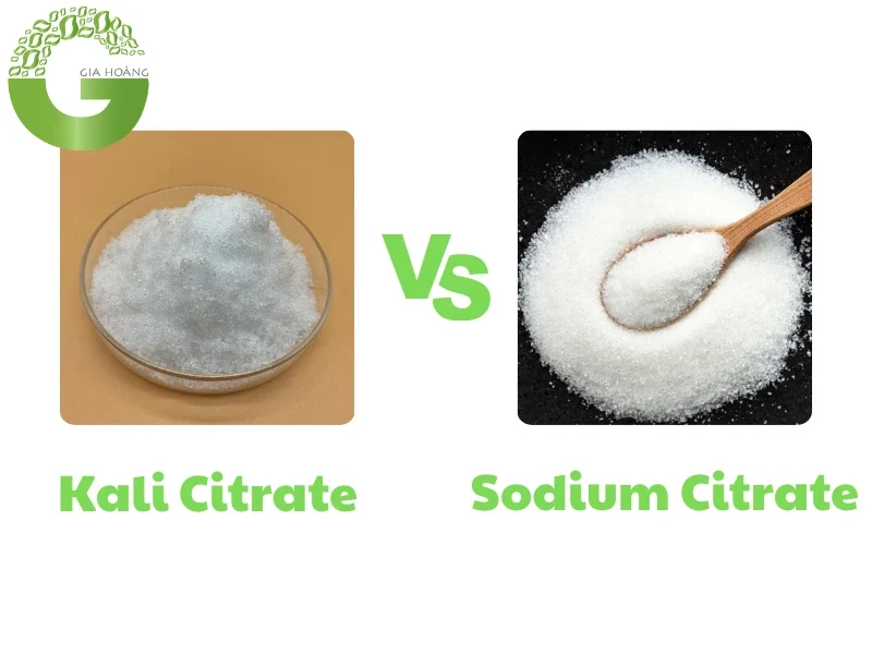 So sánh Kali Citrate với các Citrate khác (Sodium Citrate)