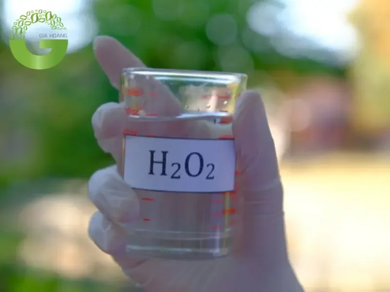 Oxy Già Thái Lan Oxy Già Thái Lan