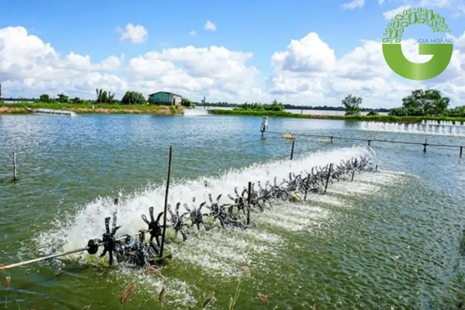 mật rỉ đường